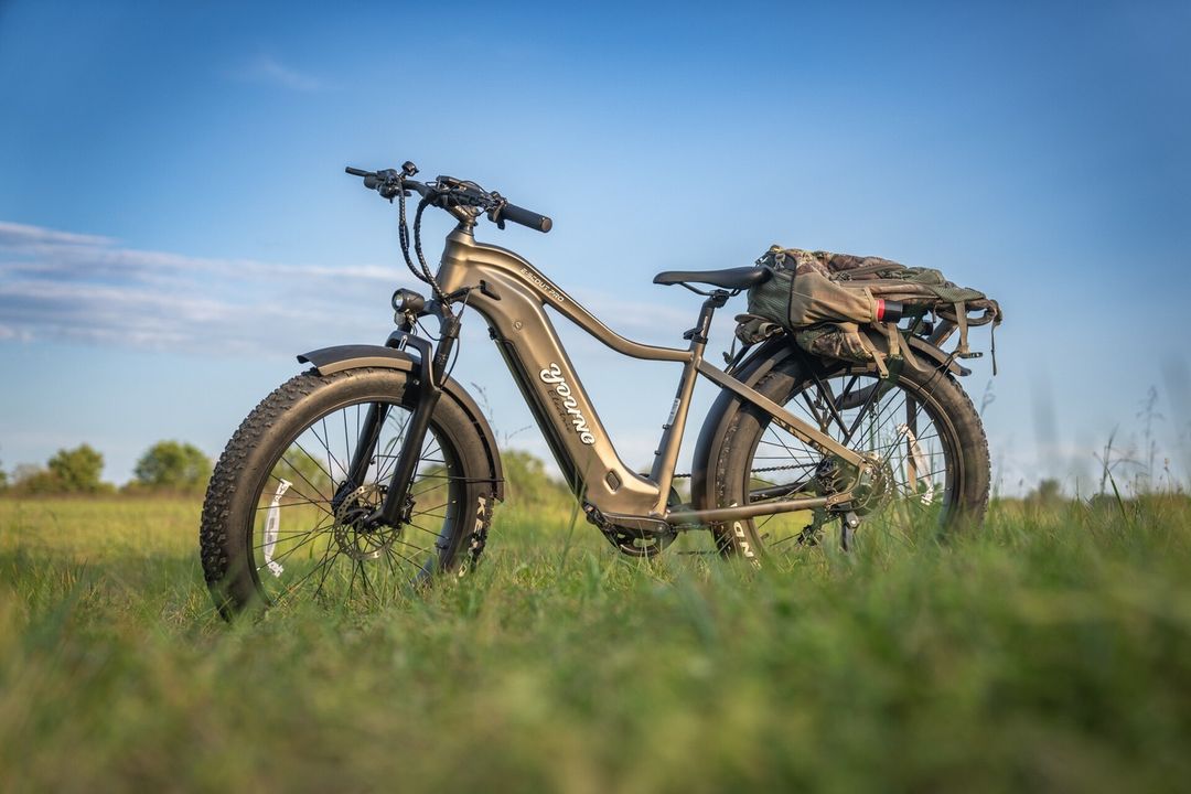 Step-Through Ebikes Single Design: The Ultimate Guide to Comfort and Style