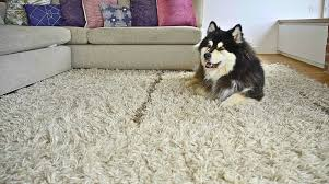 Eco-Friendly and Pet-Friendly: Handcrafted Washable Rugs for a Stylish, Sustainable Home